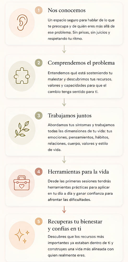 Proceso Mejorada